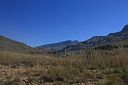 img_06573.jpg
