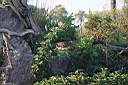 timg_10480.jpg