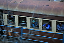 img_10794.jpg