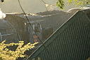 img_10807.jpg