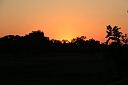 img_14750.jpg