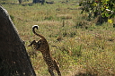 img_14955.jpg
