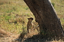 img_14959.jpg