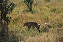 img_14974.jpg