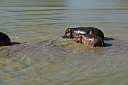 img_15001.jpg