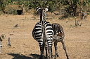 img_15707.jpg