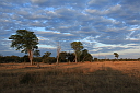img_16024.jpg