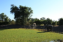 img_16241.jpg
