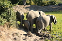 img_16245.jpg