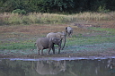timg_12686.jpg