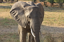 timg_12767.jpg