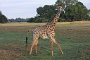 timg_12925.jpg