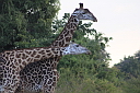 timg_13035.jpg