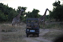 timg_13058.jpg