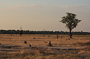 timg_13113.jpg