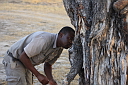 timg_13120.jpg
