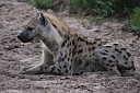 timg_13157.jpg