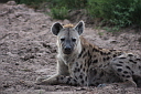 timg_13160.jpg