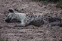 timg_13168.jpg
