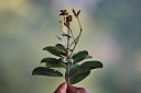 timg_13409.jpg