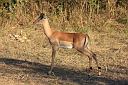 timg_13504.jpg