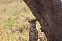 timg_13641.jpg