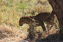 timg_13642.jpg