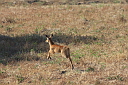 timg_13668.jpg