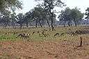timg_13674.jpg