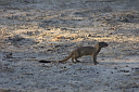 timg_13857.jpg