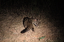 timg_14178.jpg