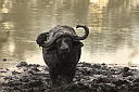 timg_14250.jpg