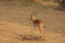 timg_14259.jpg