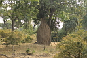 timg_14332.jpg