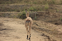 timg_14365.jpg