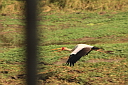 timg_14498.jpg