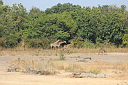 timg_14594.jpg