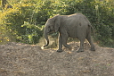 timg_15133.jpg