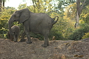 timg_15154.jpg