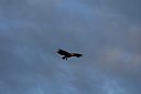 timg_15304.jpg