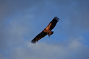 timg_15311.jpg