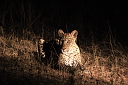 timg_15479.jpg