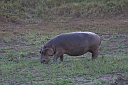 timg_15561.jpg