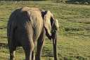 timg_15745.jpg