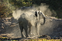 timg_15962.jpg
