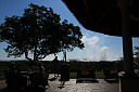 img_11139.jpg