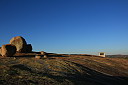 img_11420.jpg