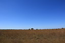 img_12087.jpg