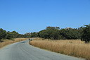 img_12135.jpg