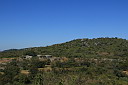 img_12317.jpg